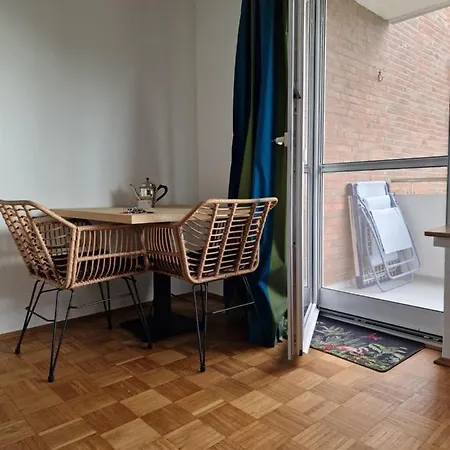 Apartment Am Stadtpark Mit Parkplatz 1zkb 48qm *